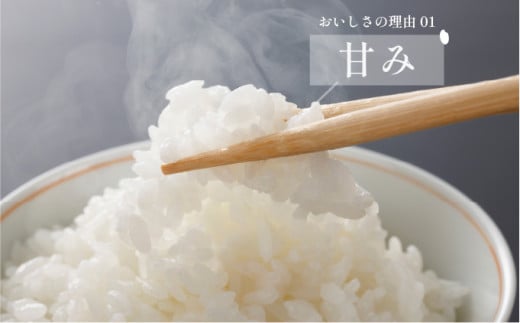 【先行予約】新米 令和7年産 夢しずく 5kg 29kg-0007