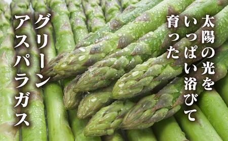 【先行予約】夏収穫グリーンアスパラ 2Lサイズ 1.5kg (2024年7月下旬～発送開始予定）