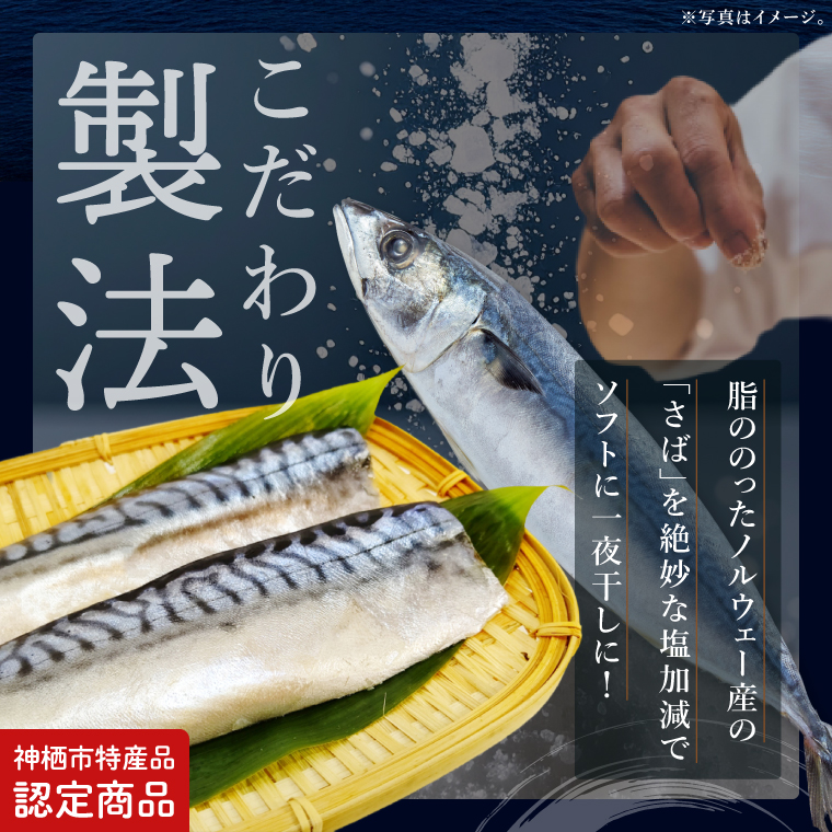 【茨城県共通返礼品/神栖市】大トロさば文化干し 6パック｜一夜干し 飽和脂肪酸 EPA DHA 阿見町 茨城県(48-01)