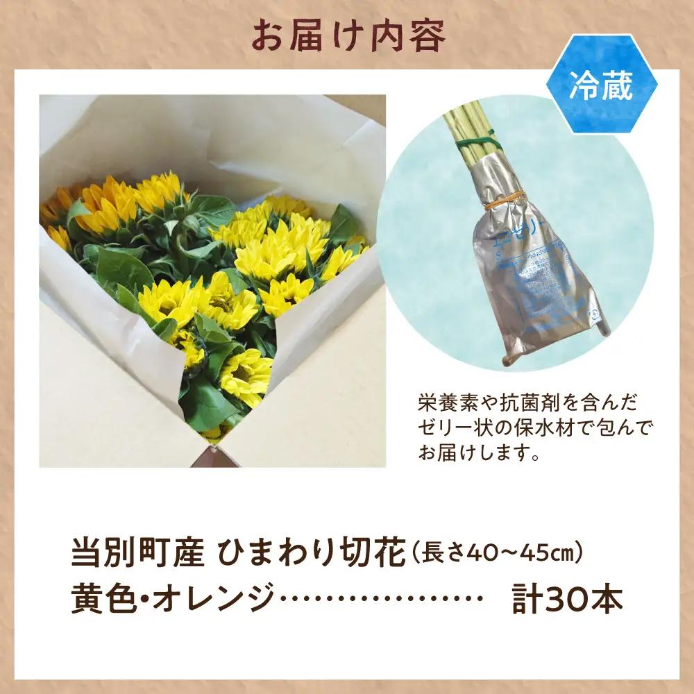 ひまわり 切花 30本 黄色 オレンジ 四季農場《6月上旬-9月下頃出荷》北海道 当別町