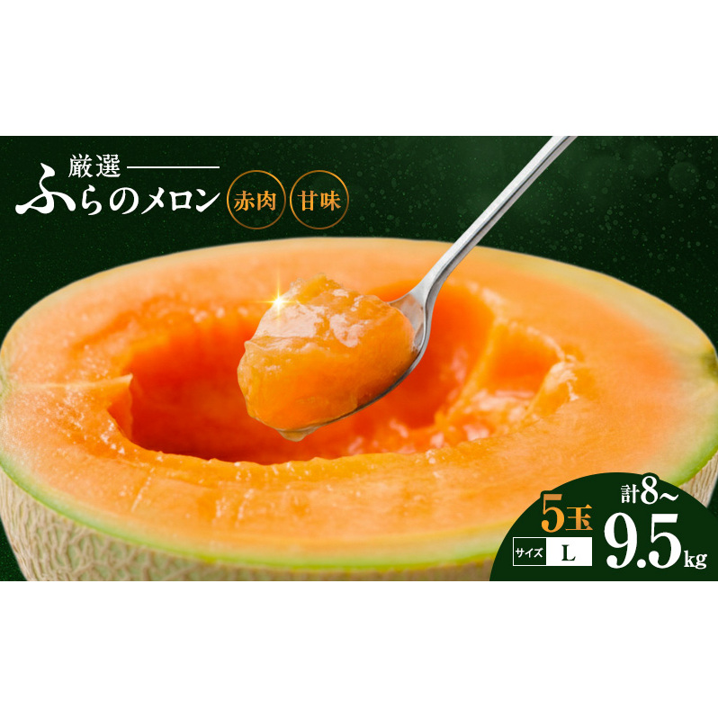 【令和8年産】ふらの 赤肉メロン 厳選 甘味 Lサイズ 1.6kg～1.9kg 5玉 セット ファーム富良野 メロン めろん 富良野メロン 果物 くだもの フルーツ 富良野 デザート 北海道 北海道上富良野町 