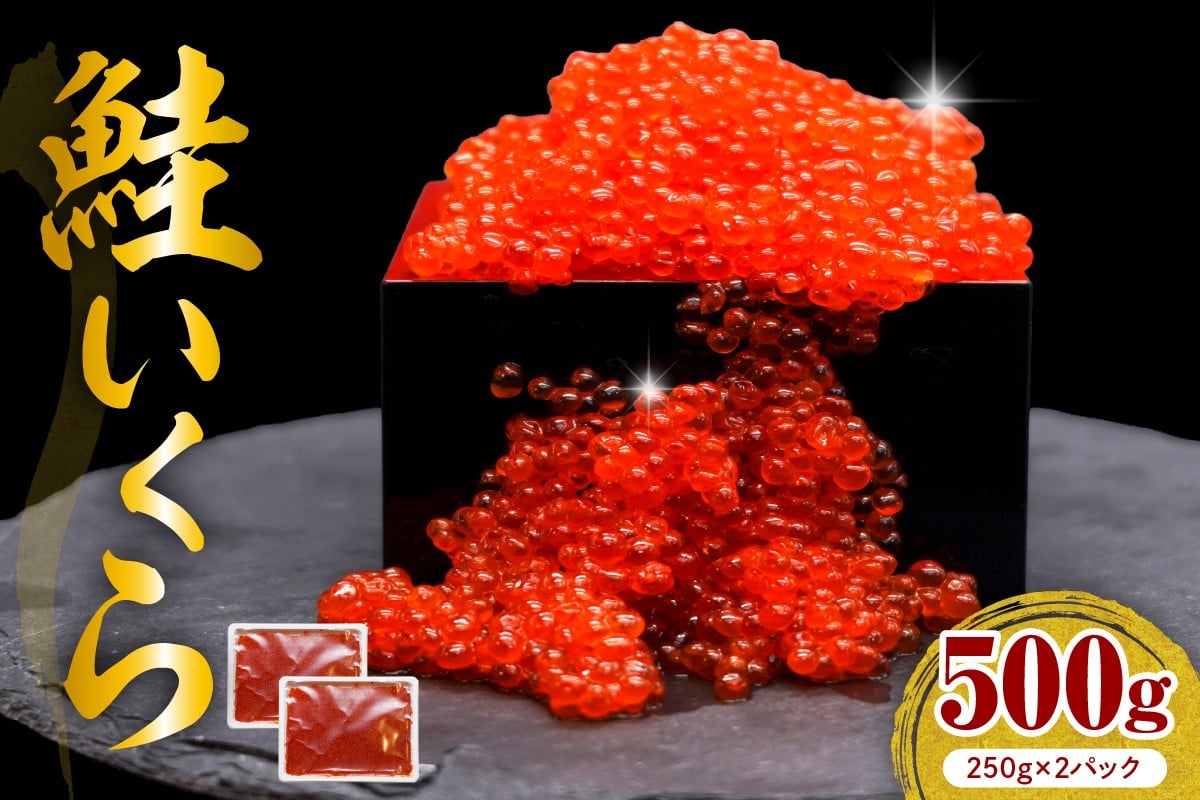 
            えりも【マルデン特製】鮭いくら醤油漬け250g×2箱【er002-098】
          