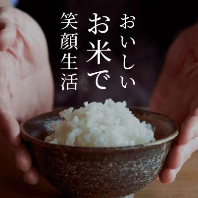 ふるさと納税 八代市 【先行予約】《令和7年産》 ヒノヒカリ 5kg×2袋 合計10kg 熊本県産 |  | 02