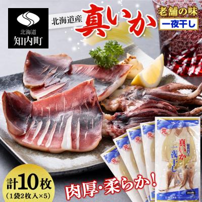 ふるさと納税 知内町 老舗の味 真いかの一夜干し 2枚入5パックセット<秋元水産>