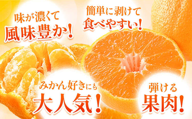 不知火 デコみかん ( デコポン と同品種 ) ご家庭用 訳あり 熊本県産 ( 苓北町産含む )約1.2kg(3-6玉前後) 柑橘 《2026年2月上旬-3月末頃出荷》 みかん フルーツ 不知火 訳ア