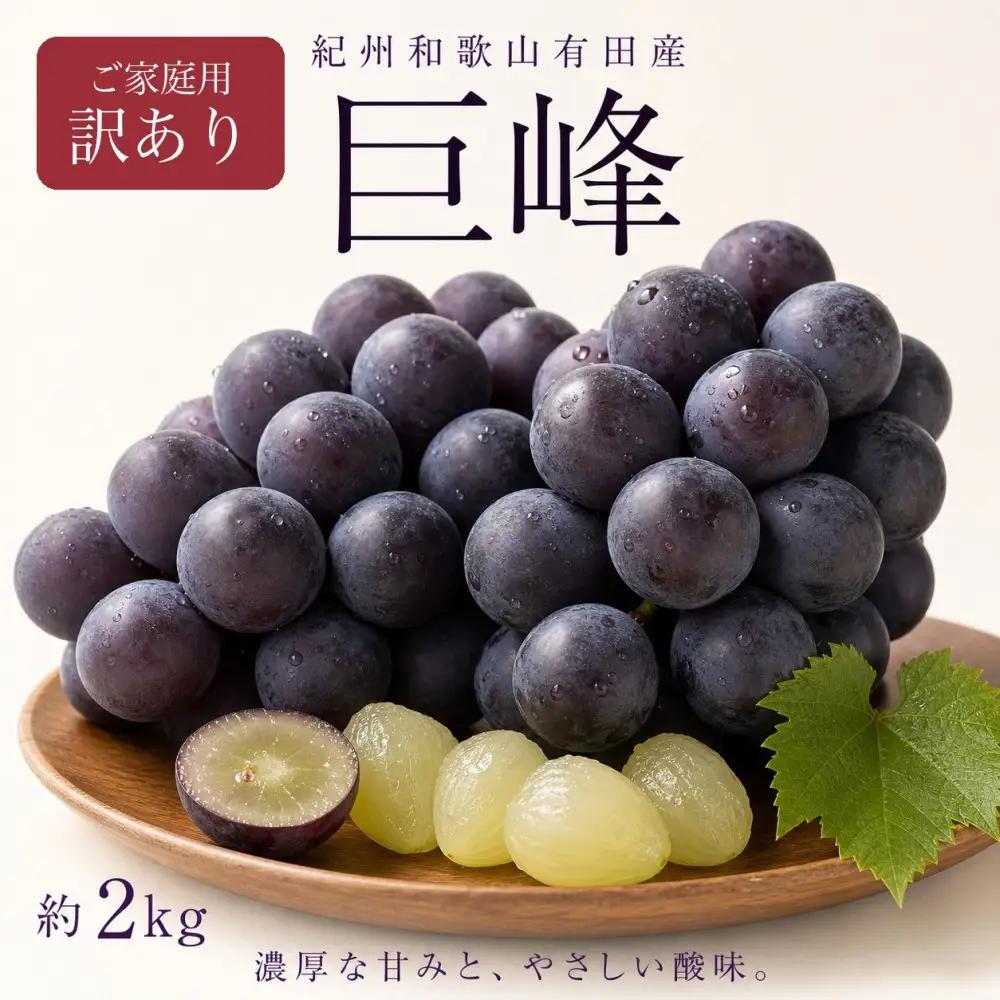 【ご家庭用】紀州有田産の巨峰ぶどう約2kg【先行予約】【2026年8月下旬以降発送予定】 巨峰