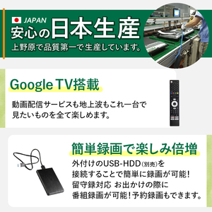 ＼年内発送／ テレビ 32型 Google TV 液晶テレビ AP325GL 32V セカンドテレビ 子ども用 寝室用 ハイビジョン 壁掛け可能 VESA対応 日本製 国内生産 家電 電化製品 32イ