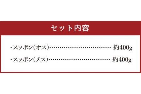 加工済みスッポン ハーフサイズ 2個セット (オスメス) (冷凍) 各約400g