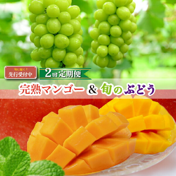 【ふるさと納税】【全2回・フルーツ定期便】小林市産 完熟マンゴー＆旬のぶどう 先行予約 先行受付 マンゴー 完熟マンゴー ブドウ シャインマスカット 定期便 フルーツ定期便 果物 フルーツ デザート 完熟 濃厚 プレゼント 贈り物 贈答 お祝い ご褒美 宮崎県 小林市 送料無料