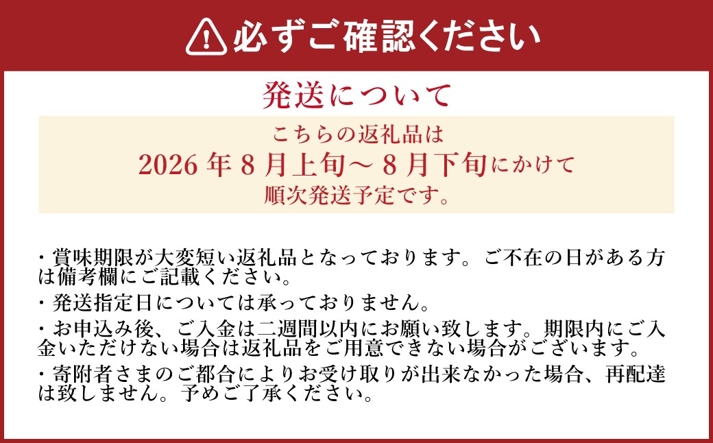 《先行予約》「山之上果実農業協同組合」山之上の梨 幸水 1箱 約2.5kg 5-8玉
