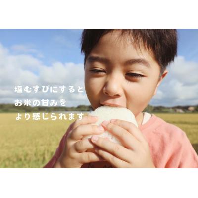 ふるさと納税 栃木市 【令和7年産】栃木市岩舟町産ミルキークイーン10kg【精米】 |  | 02