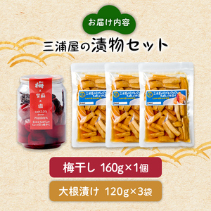 三浦屋の漬物2種セット むげんぱりぱり大根しょうゆ漬け(120g×3袋) 昔ながらのしょっぱい梅干し(160g×1個) 大根漬け だいこん漬け うめぼし 梅 塩 赤しそ 漬物 漬け物 おかず おつまみ