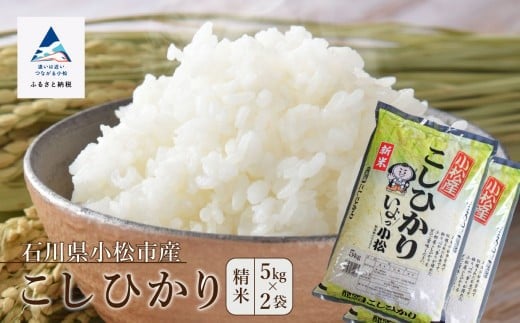 コシヒカリ 10kg こしひかり 精米 (5kg×2袋) 令和7年度産 お米 白米 | 石川県 小松市 【JA小松市】