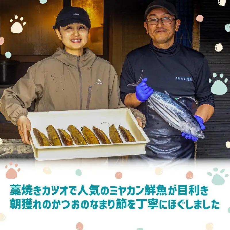 【 ペットフード 】 ペットフード3ヶ月定期便10パック 