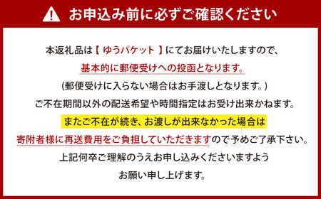 【牛革】 定規を分けて収納できる C字ZIP ペンケース (ワイド) レザー ヌメ革