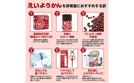 えいようかん 非常食  1セット(20本:5本入×4) ミニようかん ひとくち羊羹 スティック スイーツ 和菓子 おやつ お菓子 備蓄 保存食 長期保存 栄養補給 防災 災害対策 登山 行動食 まとめ