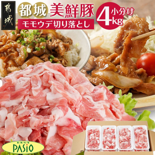 都城美鮮豚切り落とし4kgセット(200g×20パック)〔54-006〕