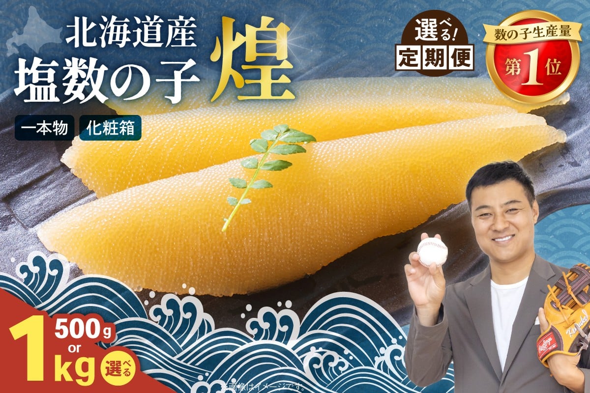
            【選べる量・選べる回数】【煌】北海道産　塩数の子500g～　人気　魚卵　高級　  おつまみ ご飯のお供 惣菜 おかず  海鮮 海産物 海の幸  魚介類 魚卵 加工品 北海道産 かずのこ カズノコ 塩カズノコ おせち R001-019-O
          