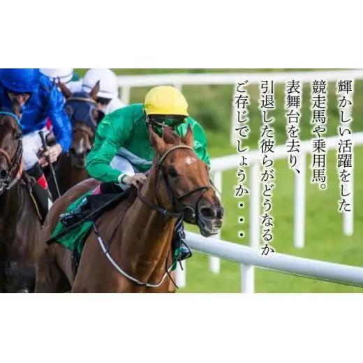 ホーストラスト北海道支援 500万円コース 引退馬 F21H-571