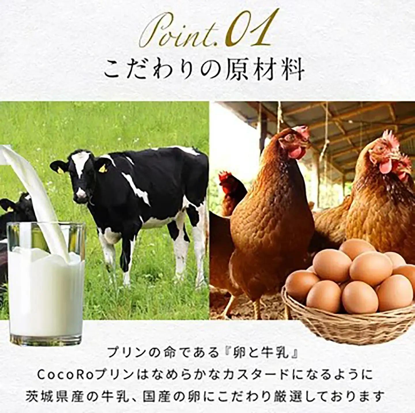 プリン CocoRoプリン6個（ギフト包装＋メッセージシール「おつかれさま」）