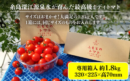 【先行予約】糸島二丈岳 【ふもとのトマト】 サイズおまかせ 約2kg （専用箱入り）【2024年4月以降順次発送】 《糸島》【株式会社 さいかい】[AFL002] トマト とまと 野菜 やさい yas