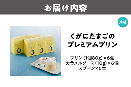 【 大阪喜安 】くがにたまごのプレミアムプリン・6個 プリン_OS186-0005