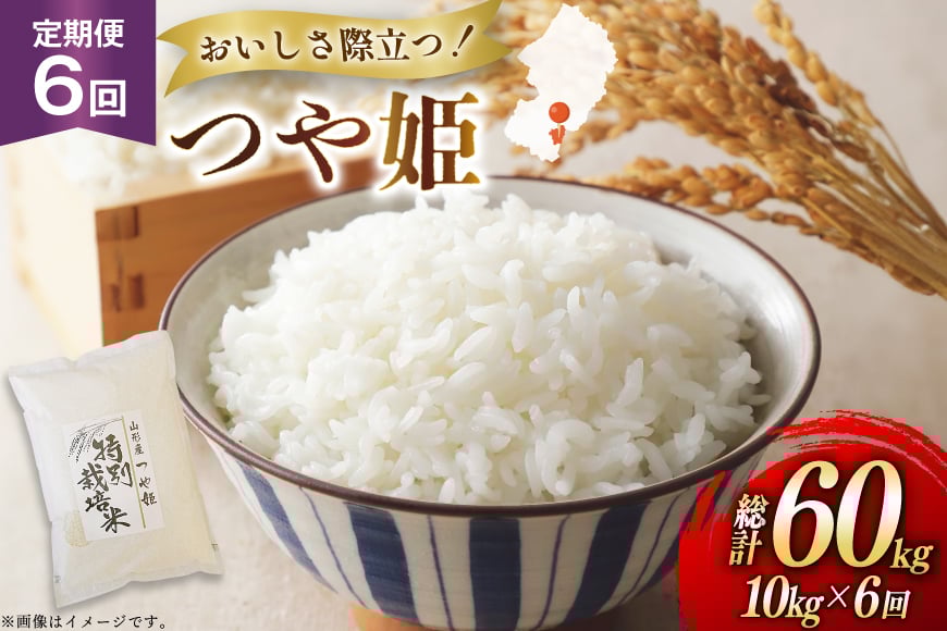 
            米 定期便 6回 令和7年 つや姫 10kg 6回 計60kg [渡部ファーム 山形県 高畠町 tk06ays810040] お米 白米 精米 ごはん ご飯 ブランド米
          