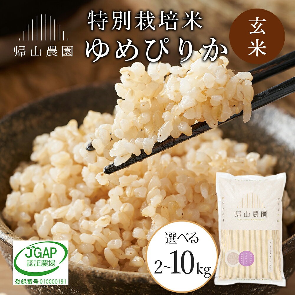 【ふるさと納税】【令和7年産】玄米 ゆめぴりか 選べる2kg〜10kg 特別栽培米産地直送《帰山農園》知内町 ふるさと納税 米 こめ 北海道産お米 北海道米 美味しいお米 北海道産米 道産米 ふるさと納税 秋 旬