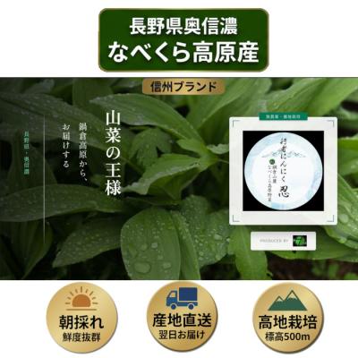 ふるさと納税 飯山市 【令和9年産先行予約】行者にんにく 忍 250g入り　1箱(35枚〜40枚) |  | 01