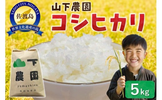山下農園 令和7年産 佐渡産コシヒカリ5kg