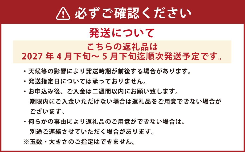  熊本市植木町産 小玉すいか
