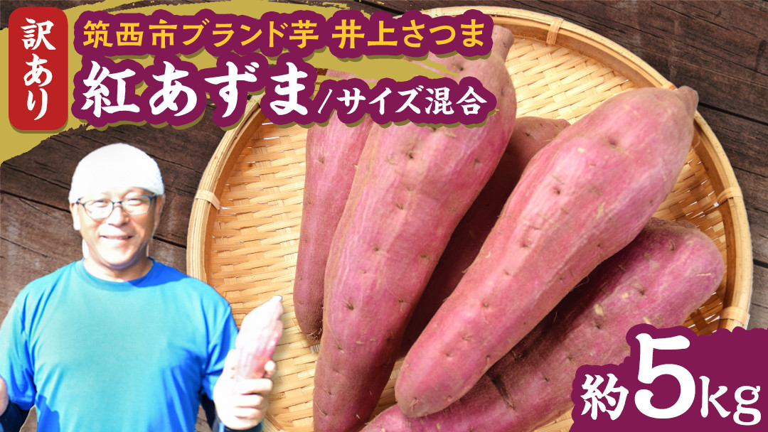 
            【 よしのいも 】訳あり 井上さつま 「 紅あずま 」 サイズ混合 約5kg ( 土なし ) さつまいも いも おいも 焼き芋 芋 おやつ まごころ野菜よしの [DX017ci]
          