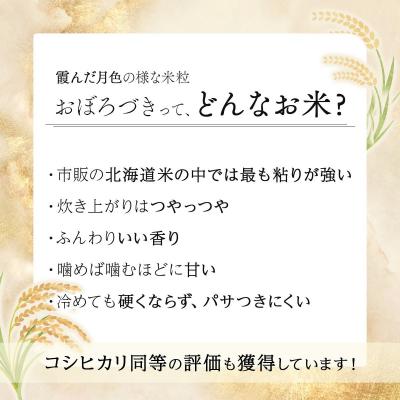ふるさと納税 岩見沢市 令和7年産北海道岩見沢市産　おぼろづき10kg ≪沖縄・離島配送不可≫ |  | 03