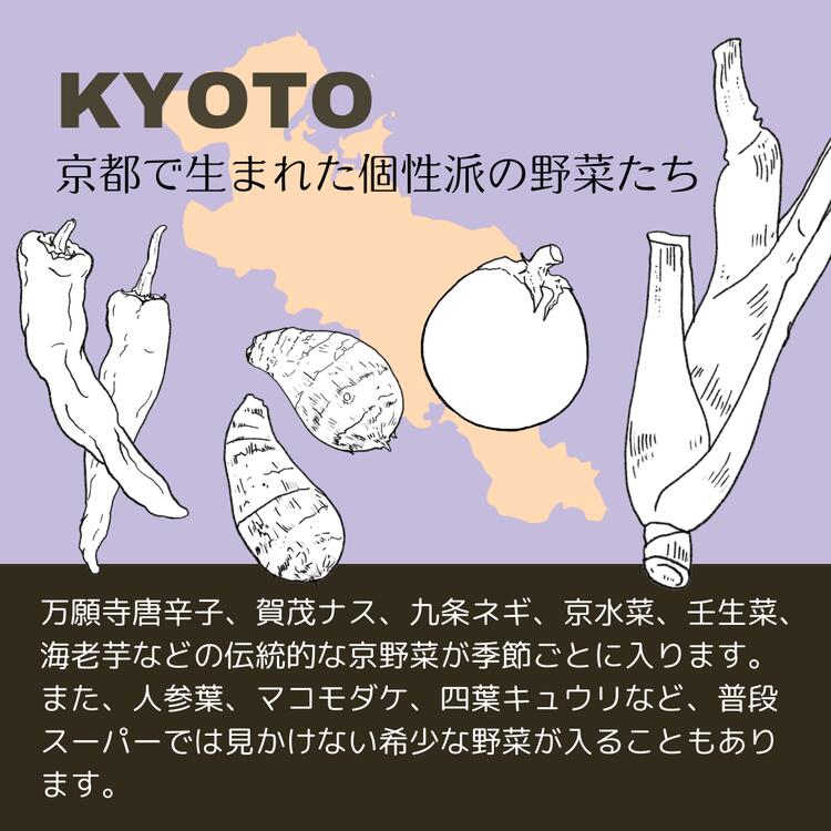 【8回定期便】＜３６９商店＞京都丹波産旬の野菜セット ※全て栽培期間中農薬・化学肥料不使用 ※北海道・沖縄・離島への配送不可