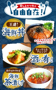 【 定期便3回 】 "とろだく” ごま醤油 海鮮丼 サーモン 約 500g | 熊本県 和水町 くまもと なごみ 魚 海鮮 肥後 海鮮丼 スライス 冷凍 漬け さかな 漬け丼 小分け 数量限定 人気 