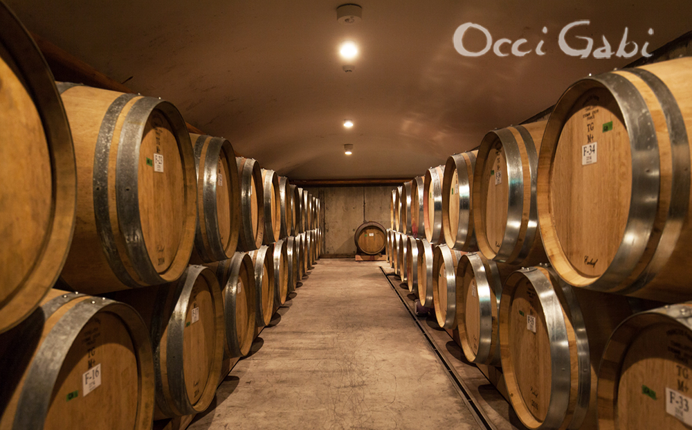 余市町産ぶどうを使用した 赤ワイン ピノ･ノワール 750ml OcciGabi Winery 北海道 余市 ぶどう お酒 ワイン 葡萄酒 果実酒 複雑な味 深い味わい お魚料理 お肉料理 和食 お取