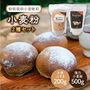 【ふるさと納税】特別栽培小麦使用「糸島ブラン200g」と「伊都のみのり500g」セット【天然パン工房楽楽】 いとしまごころ [AVC003] 7000円 7千円 常温