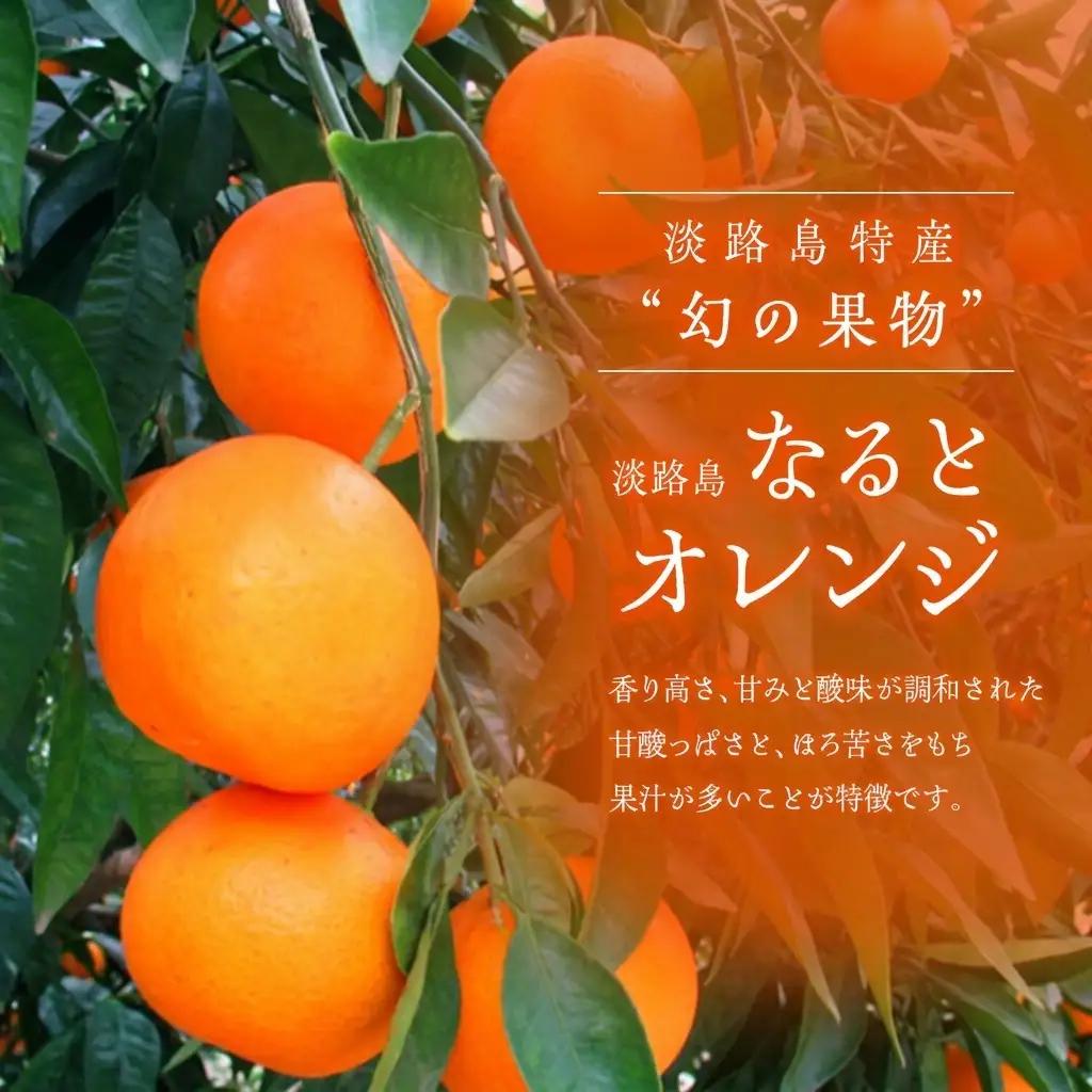 なるとオレンジ 幻の果物 10kg なるとオレンジ 淡路島 洲本市
