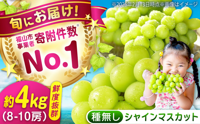 数量限定/9月上旬～9月下旬頃発送 沼隈ぶどう「シャインマスカット」 約2kg×2(8～10房) 広島県福山市/福山市農業協同組合　沼隈グリーンセンター ぶどう ブドウ 葡萄 種なし 大粒 マスカット