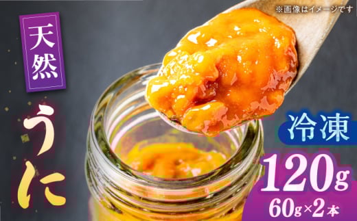 【先行予約】壱岐産 冷凍 生うに 60g×2本【2026年6月以降順次発送】《壱岐市》【馬渡水産】 [JAQ012] 生ウニ うに ウニ 雲丹 紫うに ムラサキウニ 海鮮 鮮魚 30000 30000円 3万円