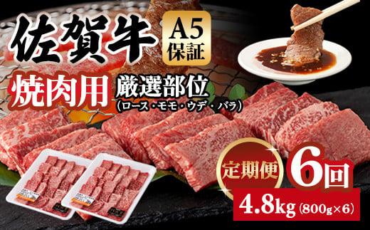 【定期便】佐賀牛 A5 焼肉用 厳選部位 800g 6回定期 計4.8kg(800gx6) 桑原畜産 ブランド牛 小分け 赤身 黒毛和牛 高評価 牛肉 人気 佐賀県 小城市