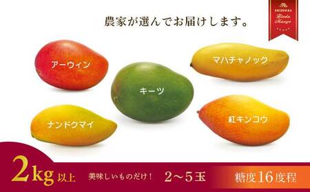 マンゴー 【 先行予約 : 2026年6月頃より順次発送 】 完熟マンゴー 2kg