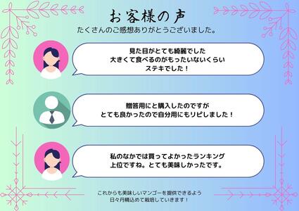 高品質マンゴー　秀品　約2kg（3～5玉）【かっちん南風原マンゴー園】【2027年発送】