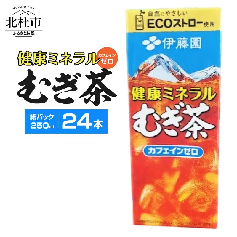 健康ミネラルむぎ茶　250ml　24本　伊藤園　紙パック  麦茶 カフェインゼロ 1ケース24本 ドリンク 配達 仕送りギフト 防災 7000 10000円以下 1万円以下 [h132]