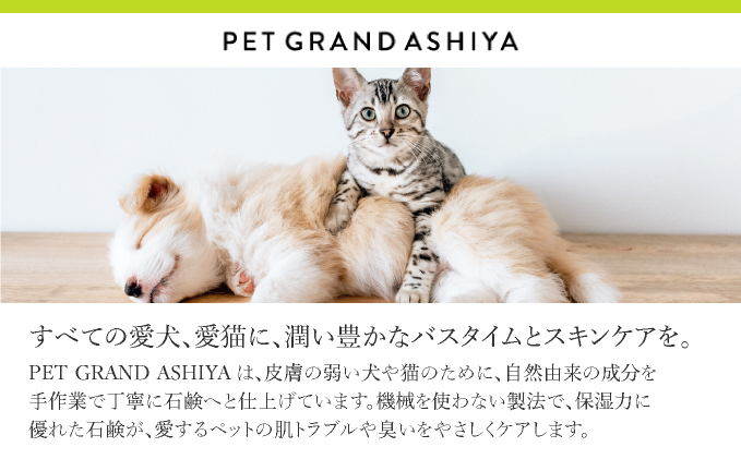  arfoam（ｱﾙﾌｫｰﾑ）300ml｜肉球洗浄 肉球 耳洗浄 耳掃除 ケア 犬の ケア用品 ペット 犬 猫 ペット用 犬用 愛犬用 洗浄 国内製造 泡 泡シャンプー お散歩後 舐めても安心 日本製