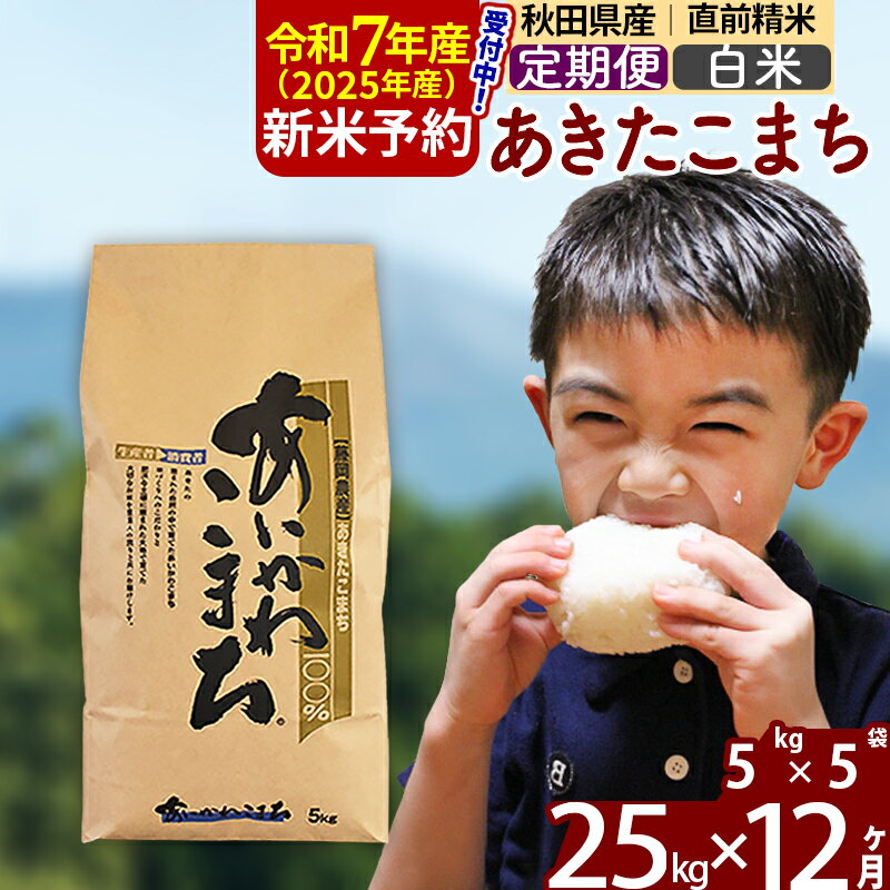 【ふるさと納税】※令和7年産 新米予約※《定期便12ヶ月》秋田県産 あきたこまち 25kg【白米】(5kg小分け袋) 2025年産 お届け周期調整可能 隔月に調整OK お米 藤岡農産