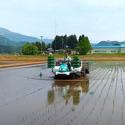 ふるさと納税 三条市 コシヒカリ 10kg(5kg×2) 新潟県三条市下田産こしひかり 【020S023】 |  | 03