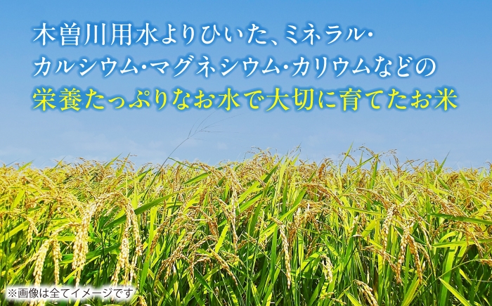 米 お米 10kg 10キロ 定期便 白米 精米 愛知県 国産 コシヒカリ