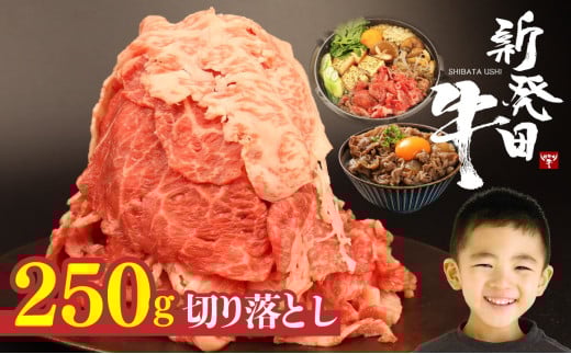 牛肉 切り落とし 250g 肉 和牛 霜降り ブランド牛 新発田牛 にいがた和牛 しゃぶしゃぶ 小分け 小間切れ 新潟県 新発田市 新潟 新発田 近江牛 神戸牛 松阪牛 米沢牛 三大和牛 に負けない えのもとミート enomoto020