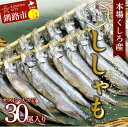 【ふるさと納税】本場くしろ産 ししゃもオス・メス30尾入り！ 本ししゃも 魚 ししゃも 魚好きのオス プチプチたまごのメス 魚介 グルメ シシャモ 北海道産 国産 魚 魚介 海の幸 F4F-4545